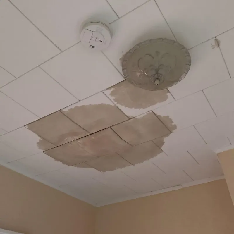 Ceiling Water Damage Repair in Jacksonville, TX
