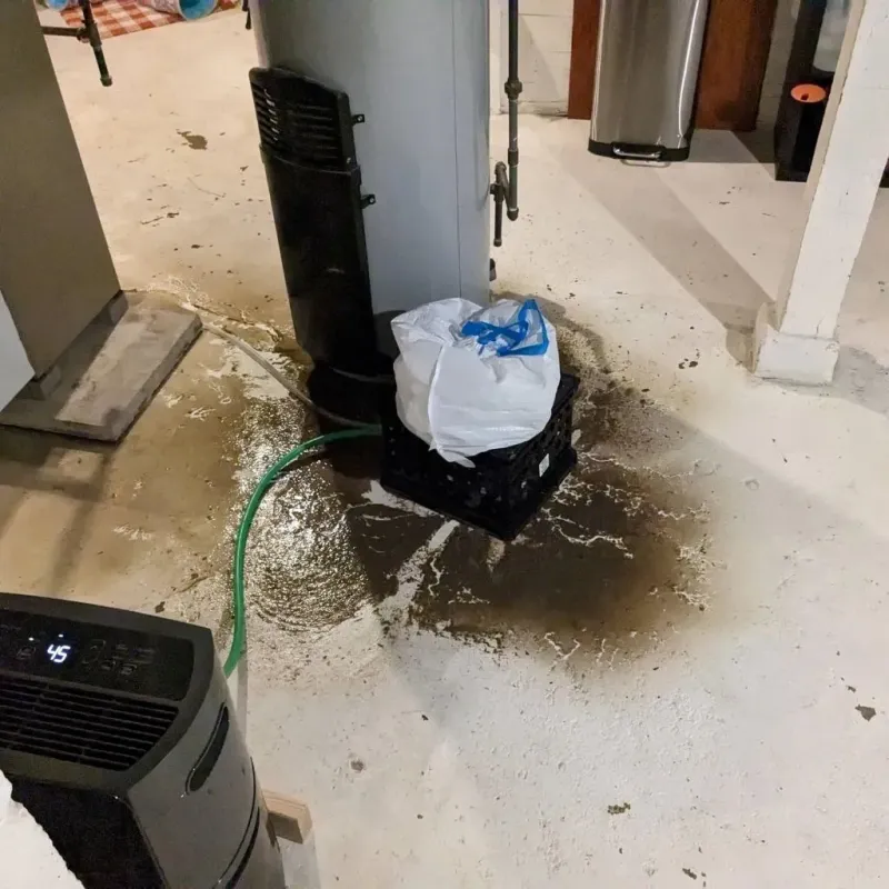 Sewage Backup Cleanup Service in Jacksonville, TX